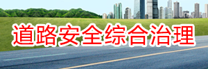 道路安全綜合治理